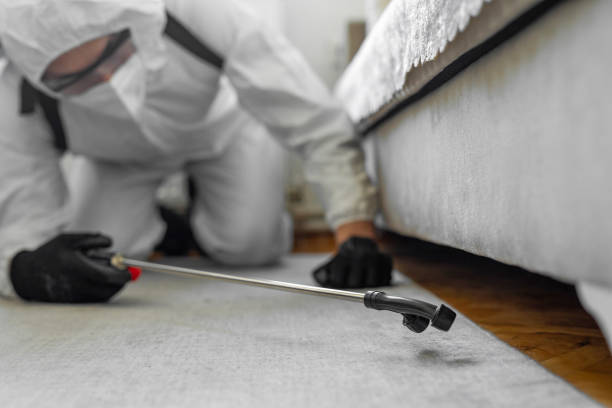 Professional Bed Bug Control technician working in Bowling Green, MD