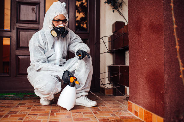 Reliable Bed Bug Control contractor in Bowling Green, MD by Nex Pest Control