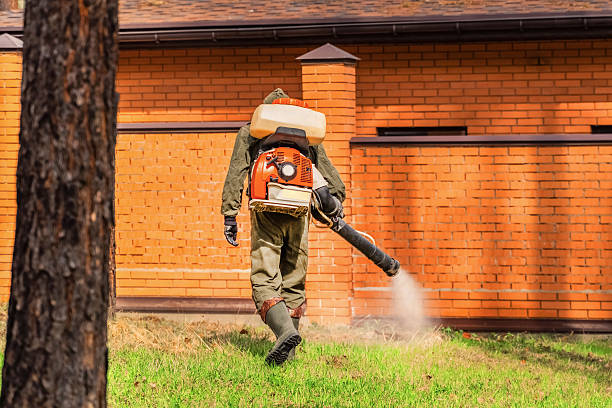 Trusted Bed Bug Control service in Bowling Green, MD - Nex Pest Control